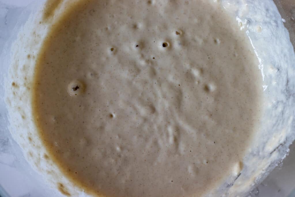 Flour, yeast and water are mixed in a bowl.