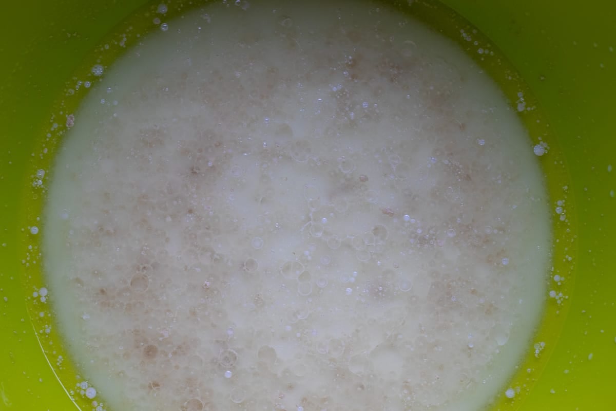 place the warm milk, sugar and yeast in a bowl