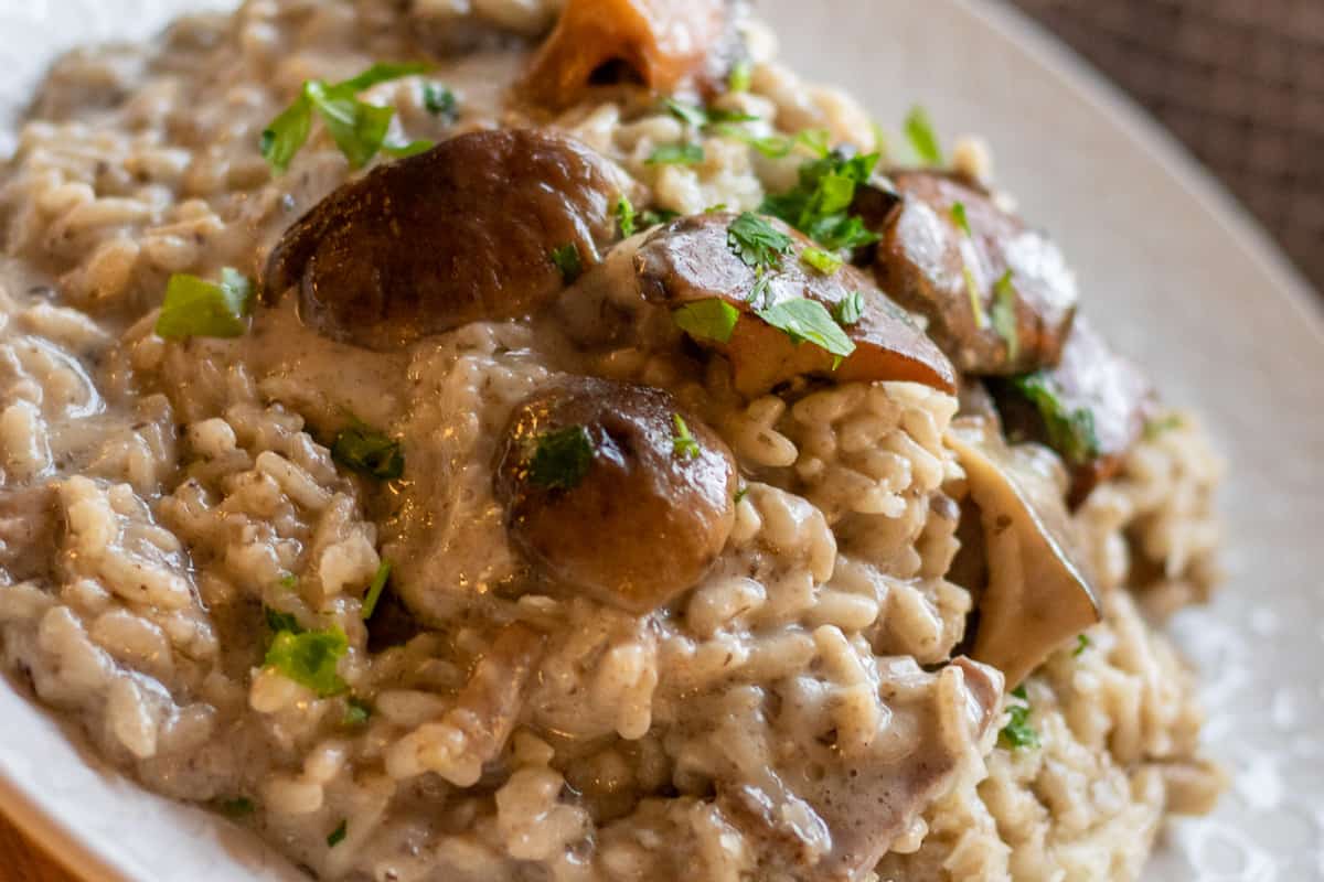 creamy wild mushroom risotto
