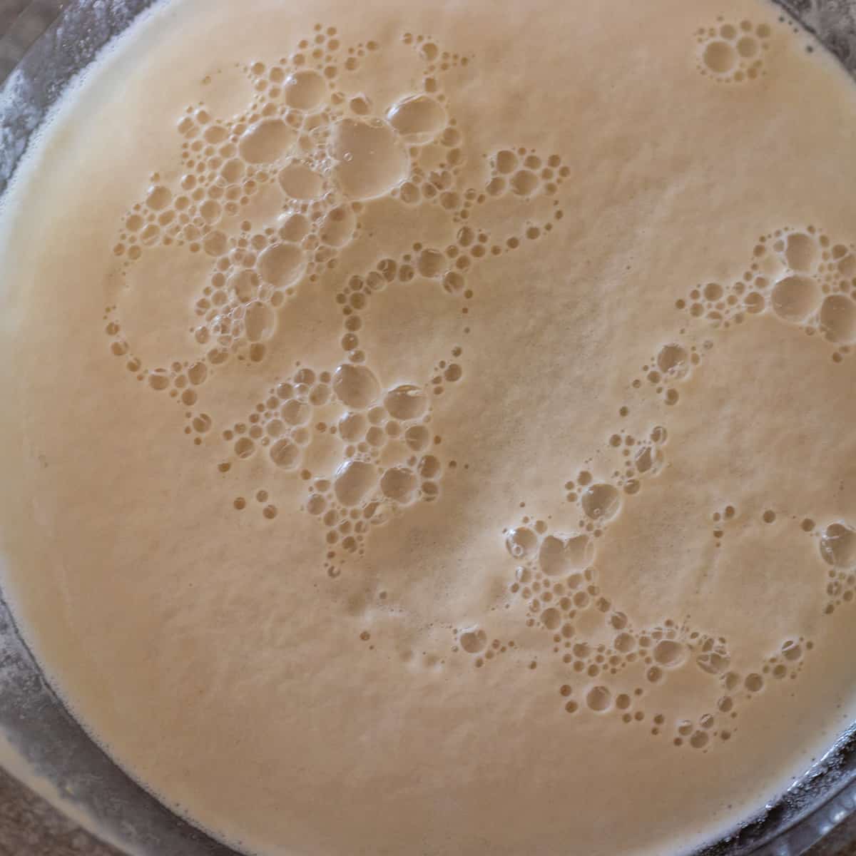 Water, sugar and yeast are mixed in a bowl