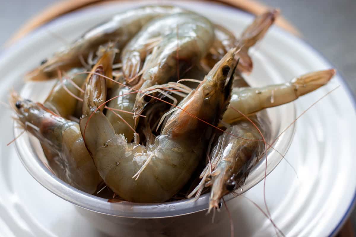 fresh shrimp in shell