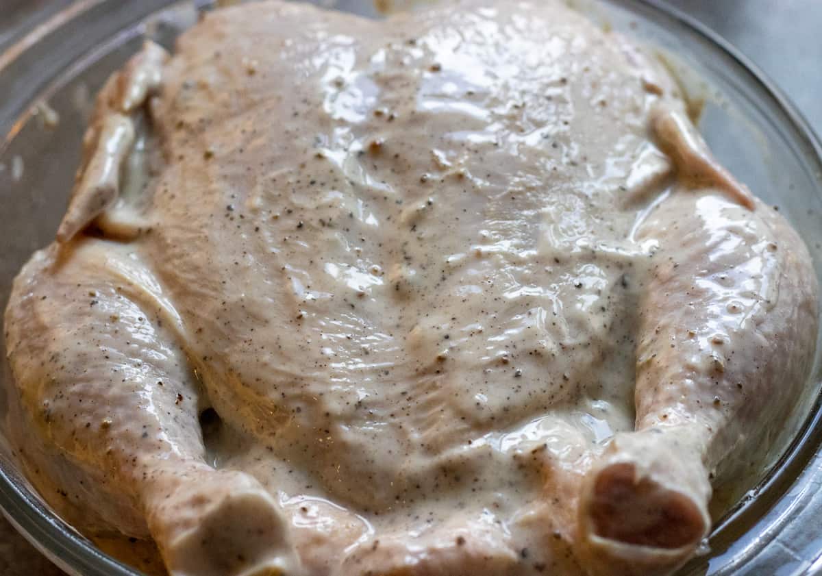 whole chicken covered with yoghurt marinate