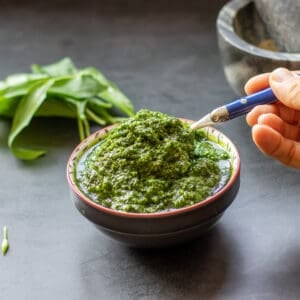 wild garlic pesto in a spoon
