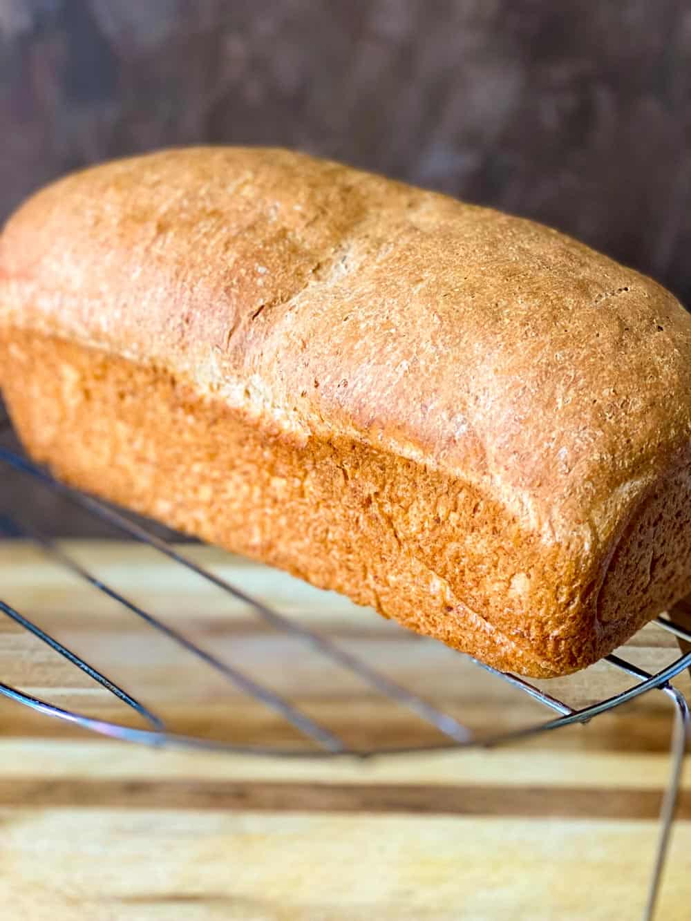 freshly baked whole sandwich bread on a cooling rack