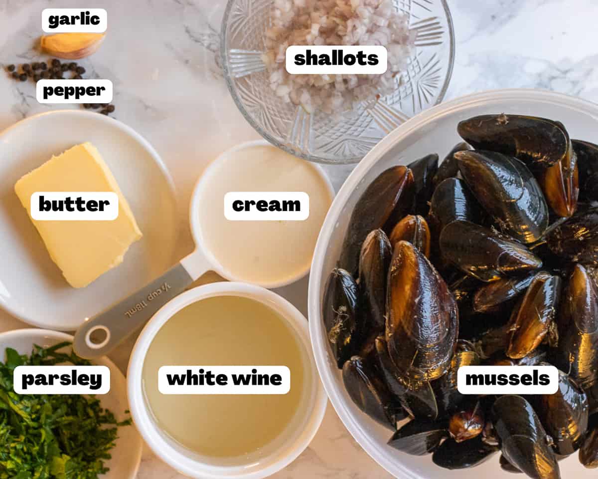 labeled picture of ingredients for moles mariniere