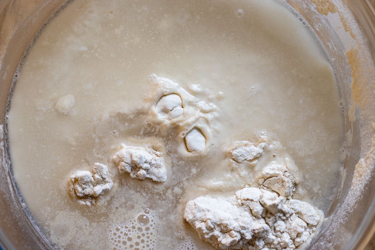 yeast, flour, water and salt are placed in a bowl