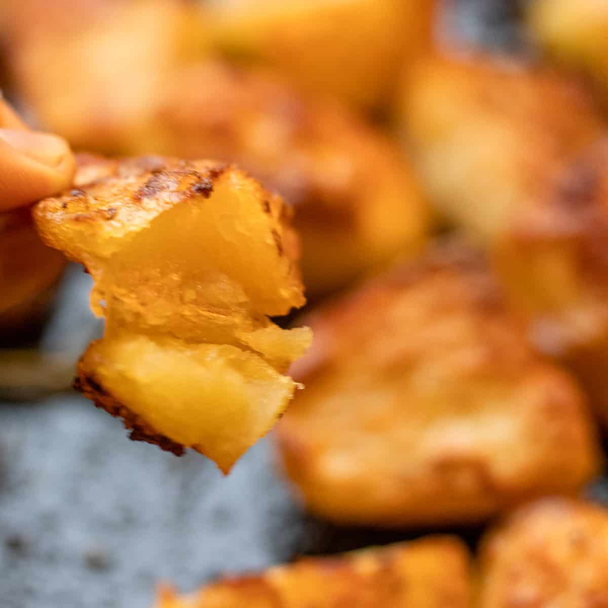 inside of a crispy roasted duck fat potato