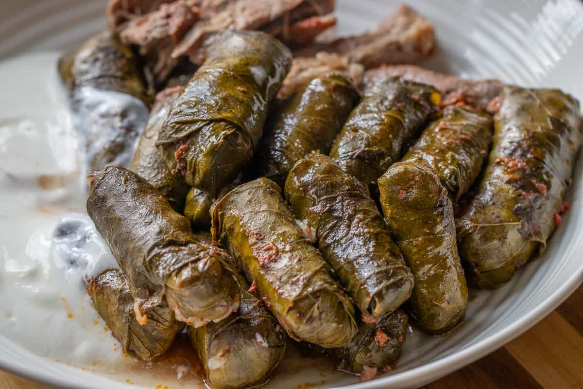 stuffed grape leaves served on a plate with lamb