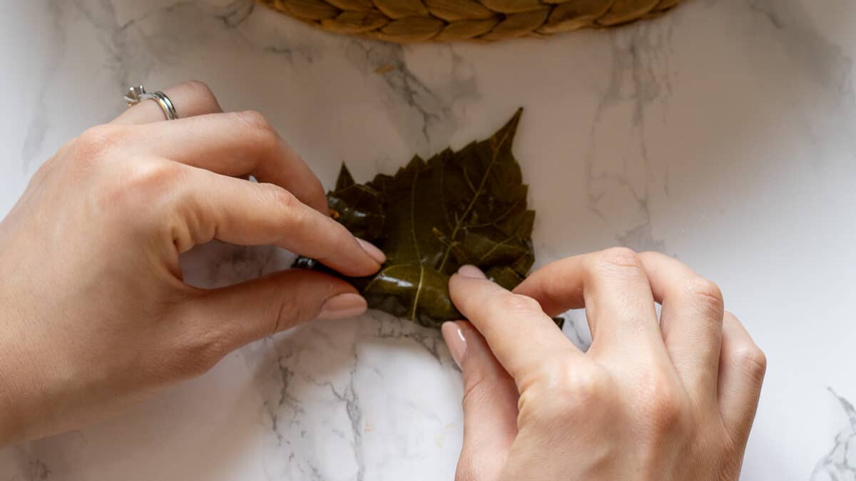 Roll them tightly enough but not too tight to shape Yaprak sarmasi - stuffed grape leaves