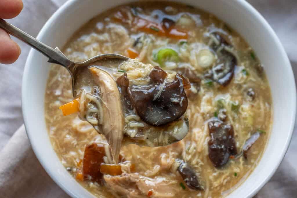 a spoonful of hot and sour chicken soup