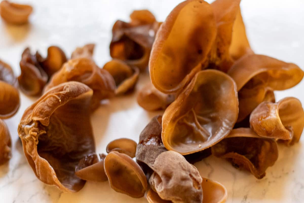 fresh wood ear mushrooms