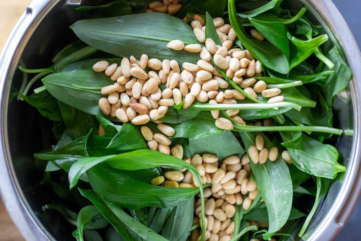 place the leaves, parmesan and pine nuts in a food processor