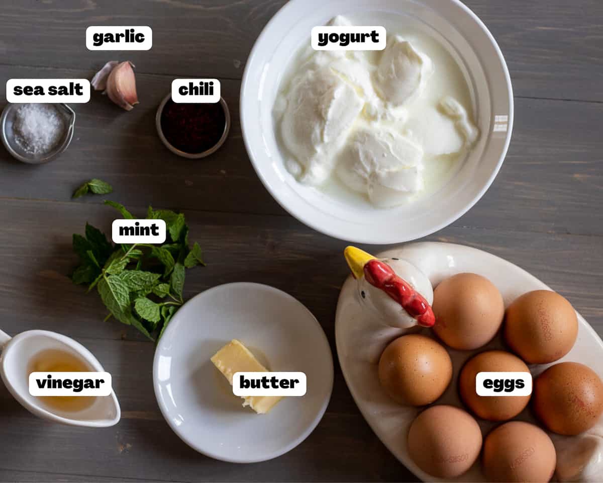 Labelled picture of ingredients for cilbir