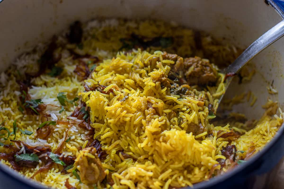 a spoonful of freshly cooked mutton biryani