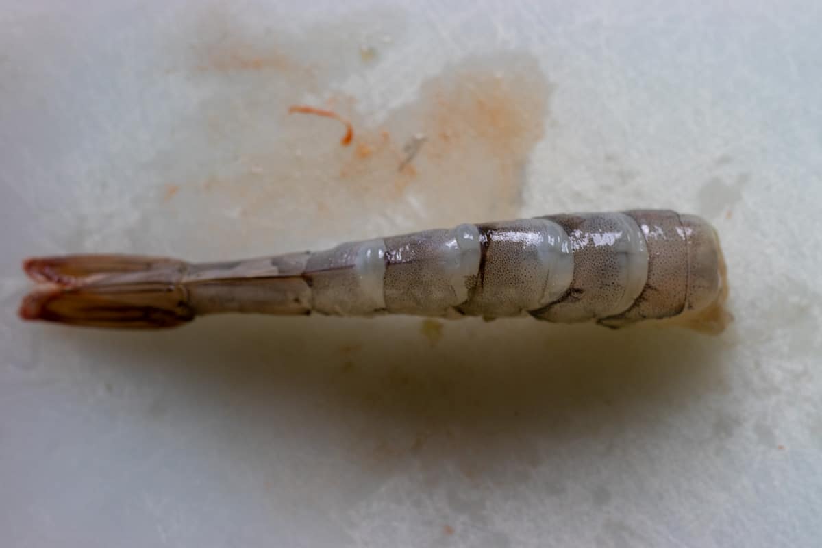 a shrimp peeled with the tail on