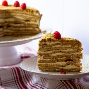 a slice of Russian honey cake