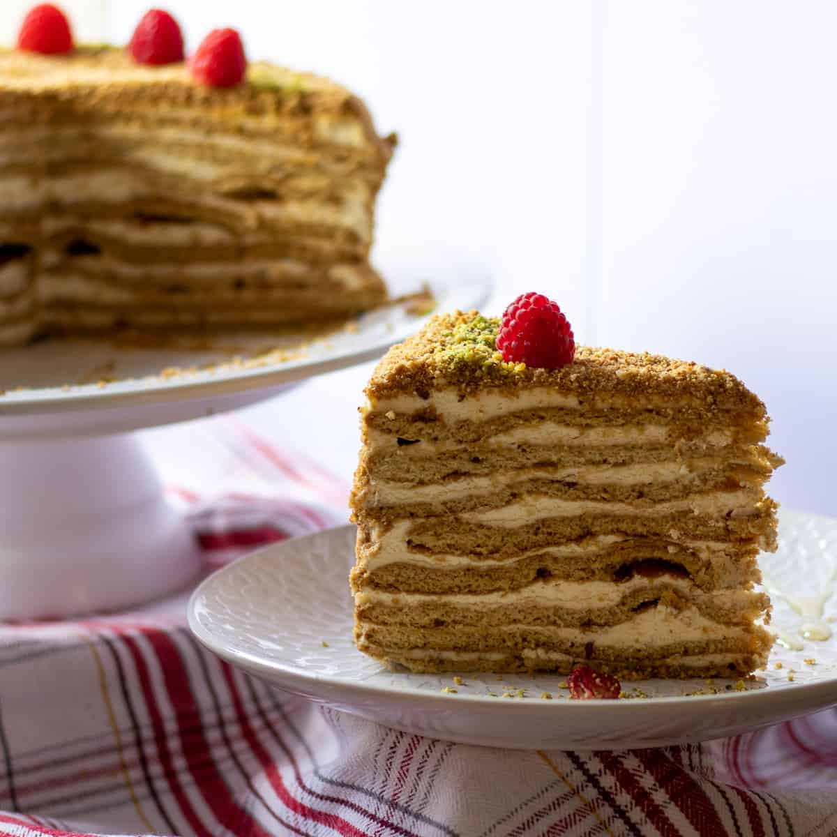 a slice of Russian honey cake