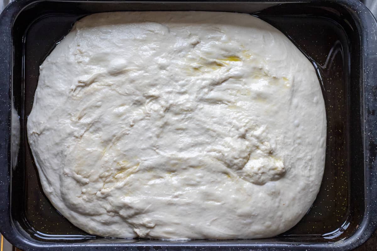 The dough is transferred into a lightly greased baking pan.