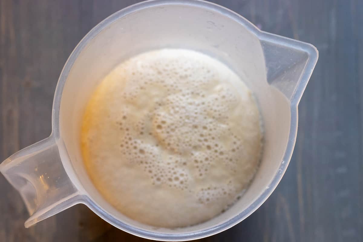 water, yeast and sugar are mixed in a bowl