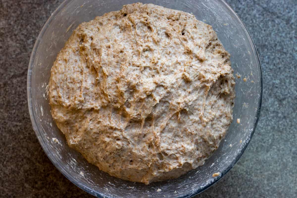 the dough for taboon bread has doubled the size