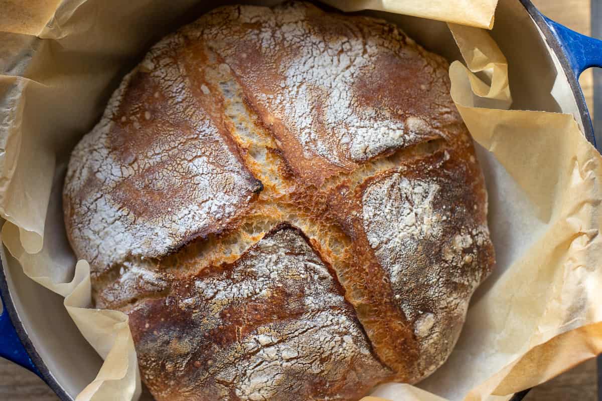 the loaf has been baked until dark brown