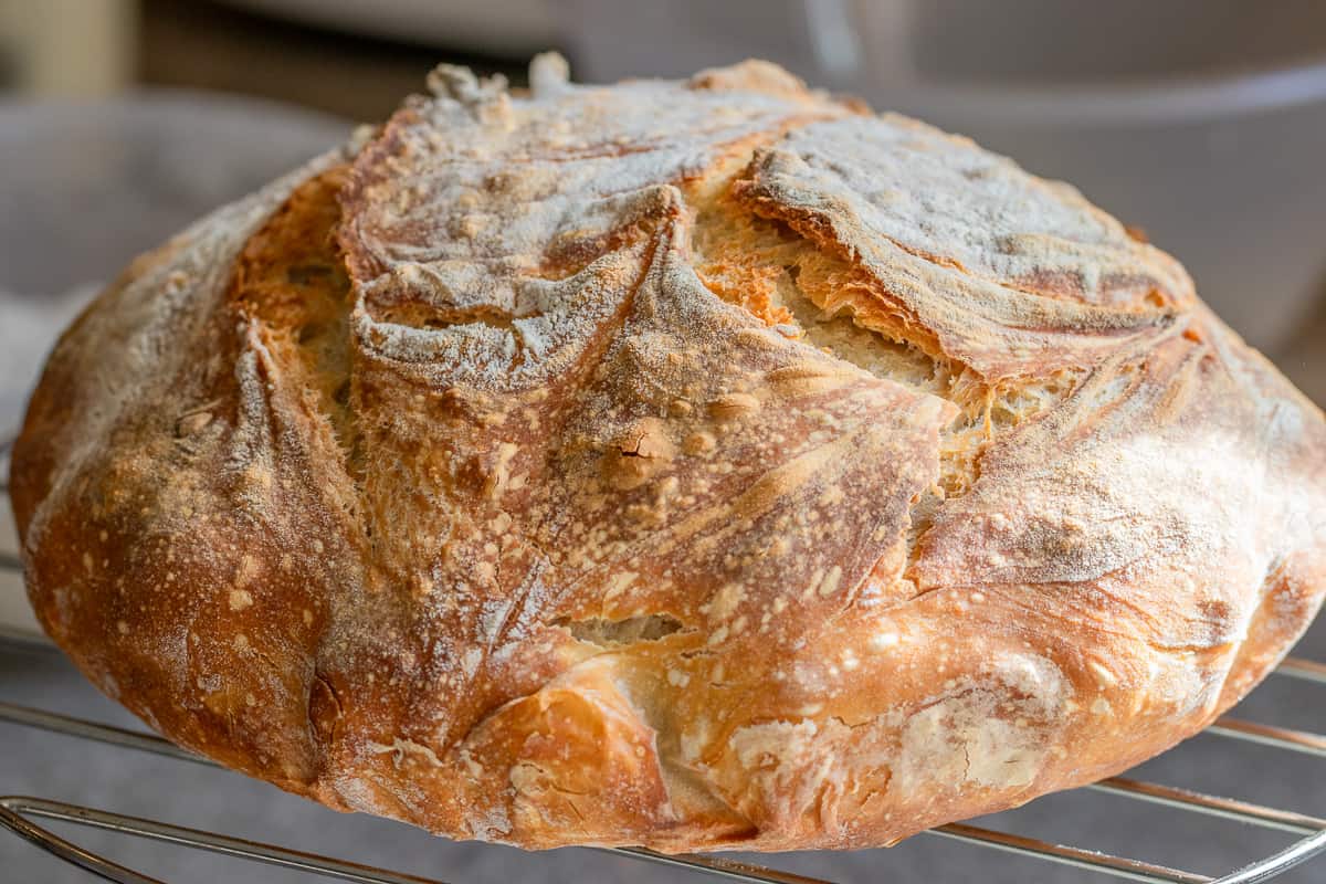 freshly baked sourdough bread on a cooling rack