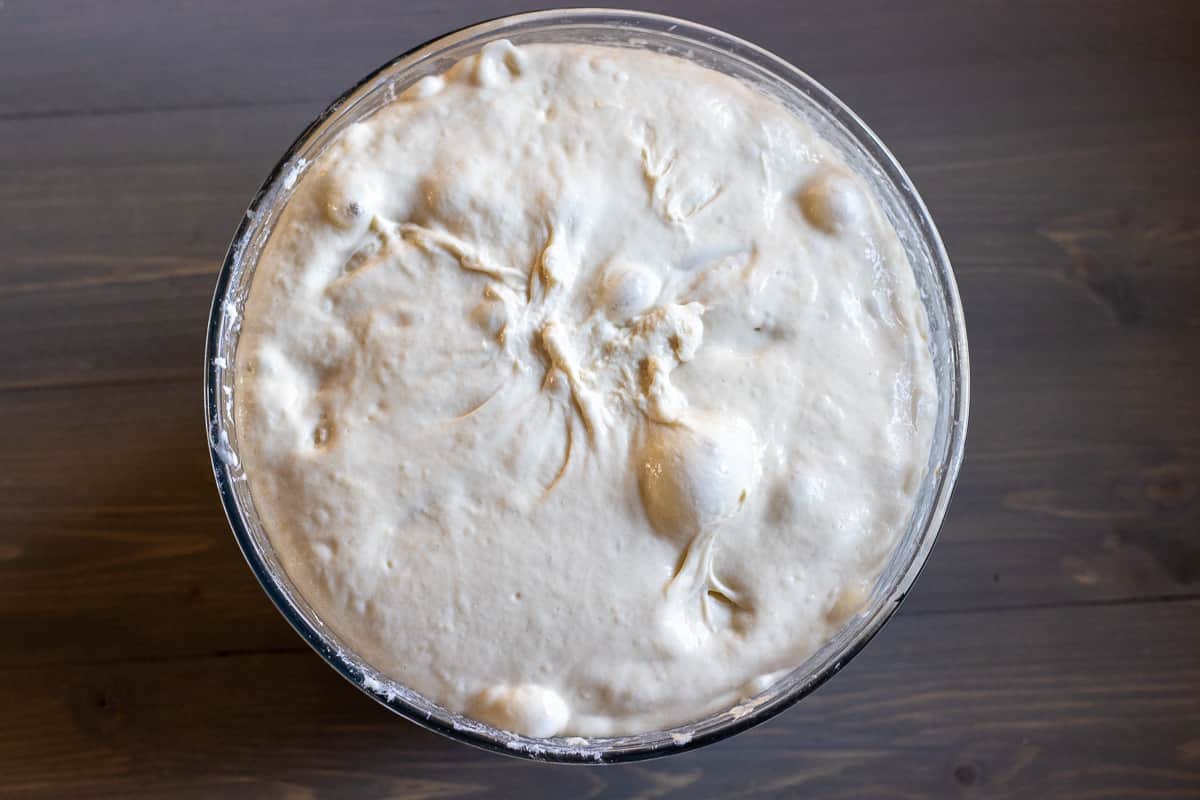 overhead picture of the sourdough after rising period