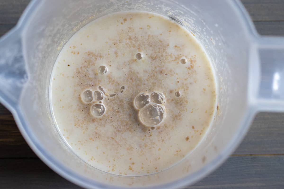yeast, sugar and milk are mixed in a jug