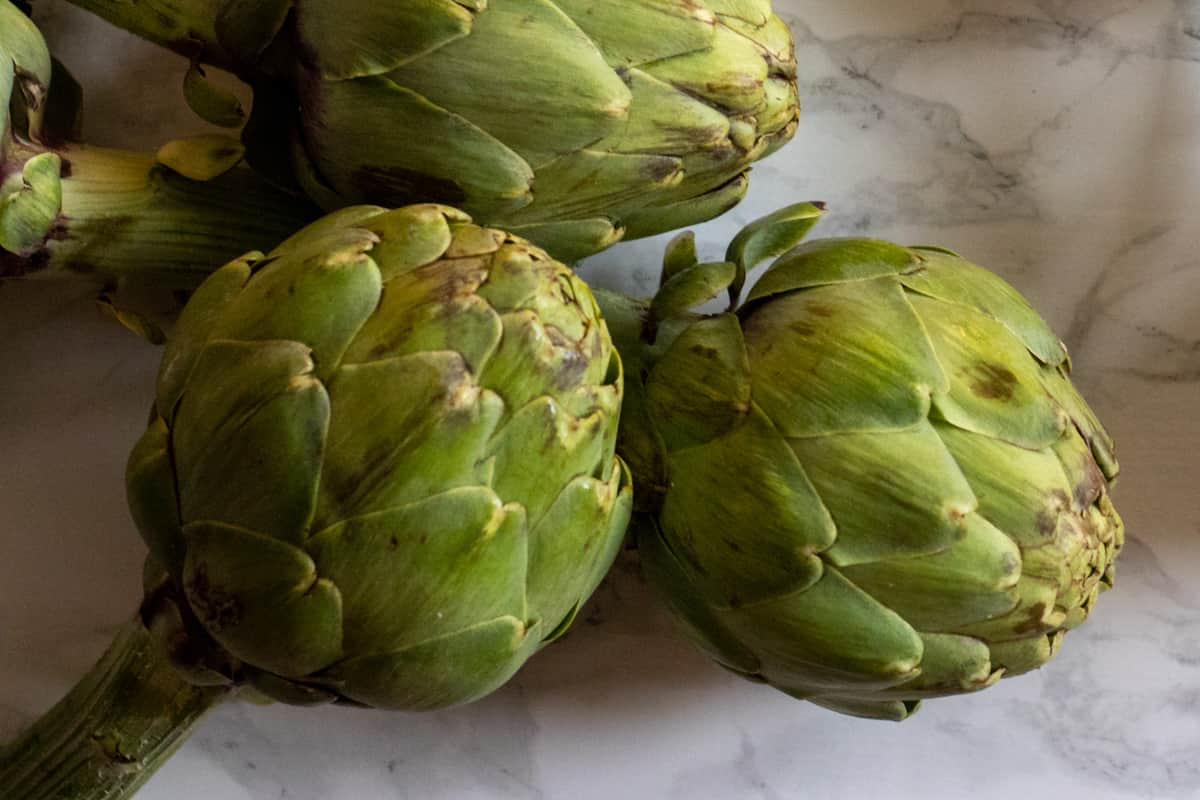 artichokes for making Zeytinyagli enginar Dolmasi