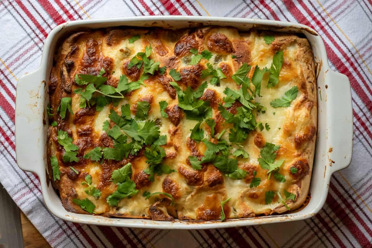 freshly baked creamy chicken enchiladas with white sauce