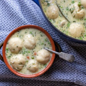 chicken and dumpling soup served in a bowl