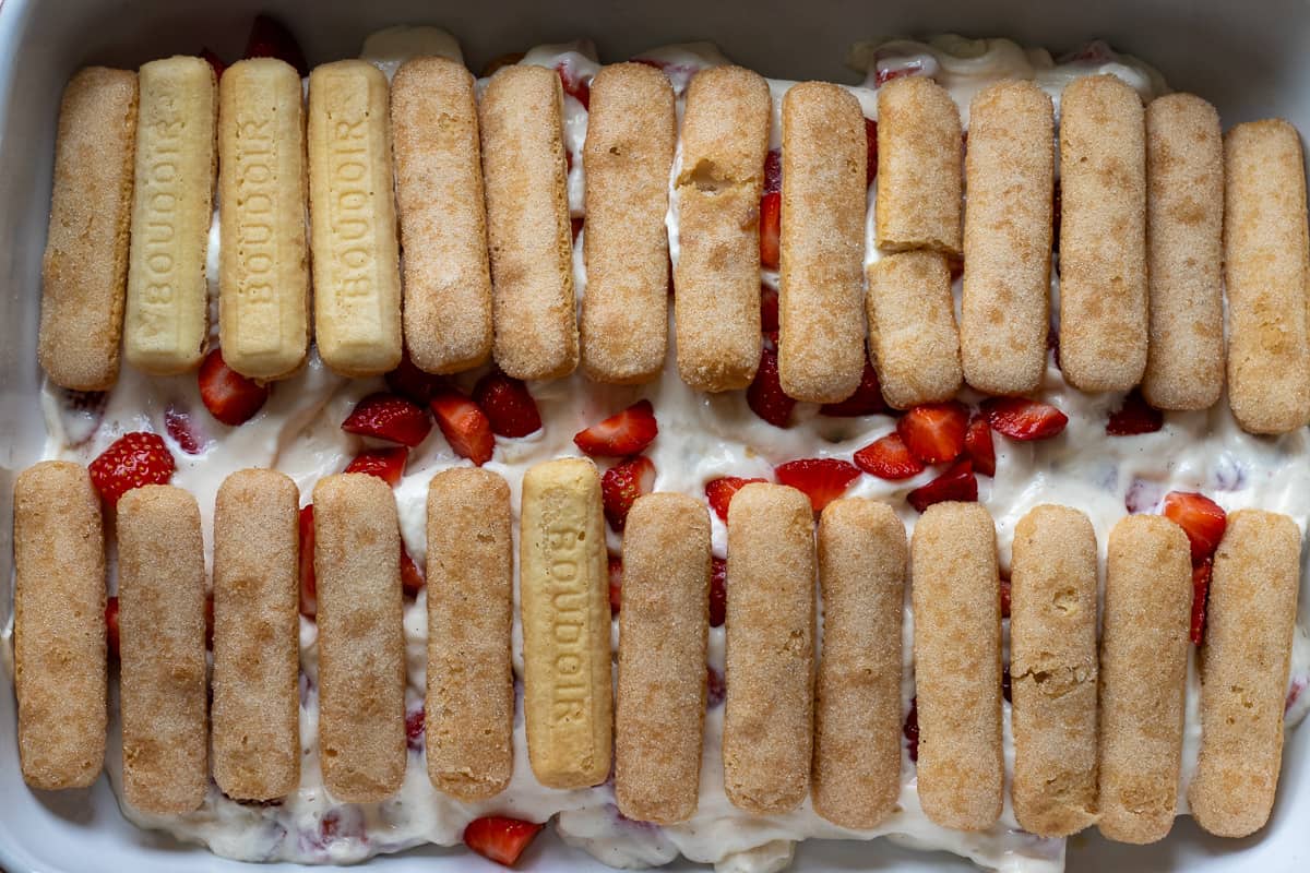 rest of the ladyfingers are arranged on top of the mascarpone cream