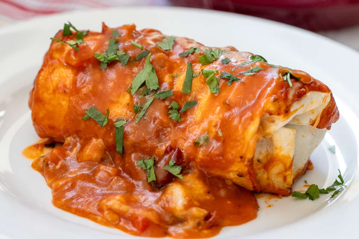 a piece of wet burrito served with extra red sauce