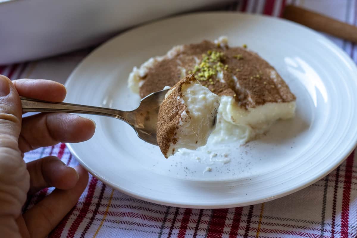 a spoonful of tavuk gogsu