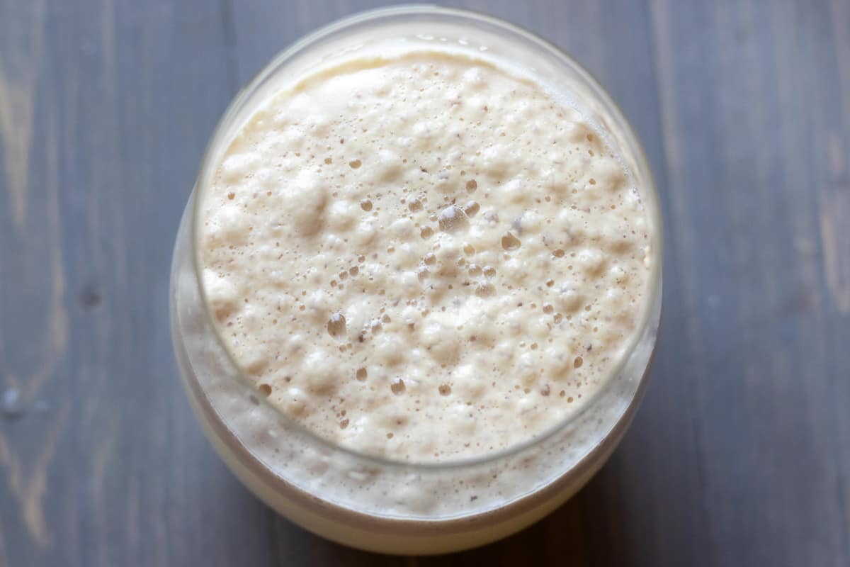 water, sugar and yeast are mixed in a glass