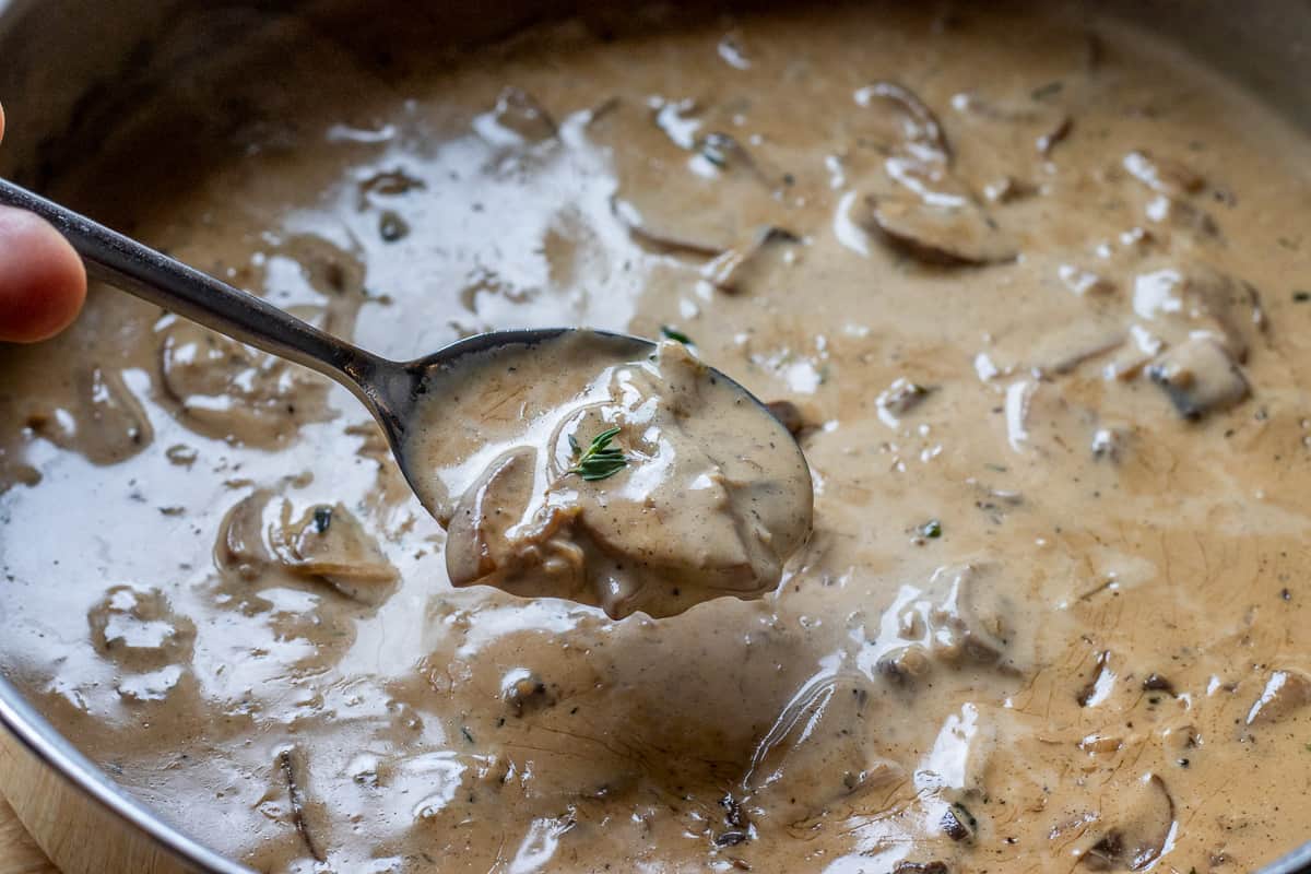 a spoonful of creamy mushroom sauce