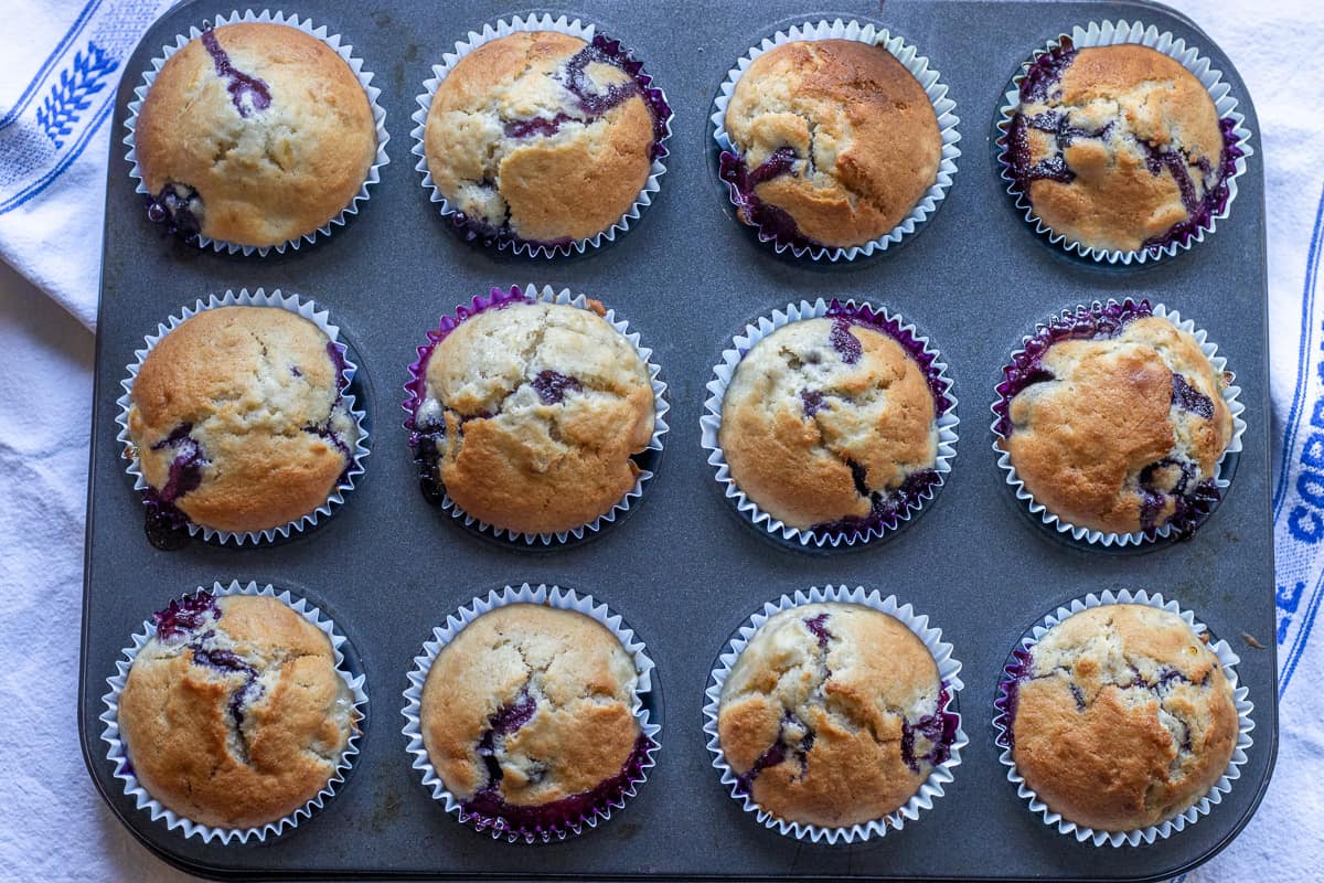 freshly baked 12 pieces of banana blueberry muffins