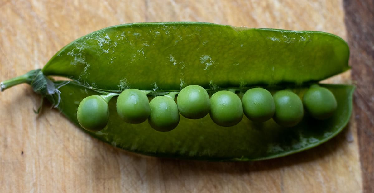 peas in pods
