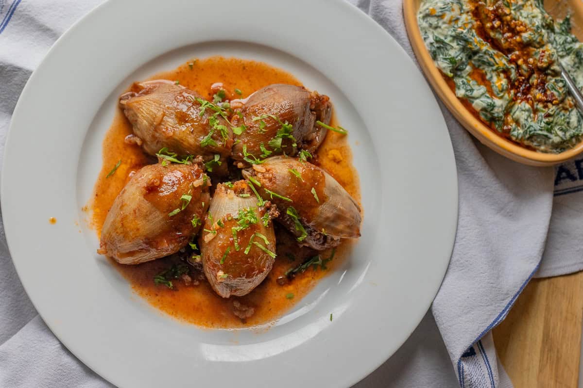 5 pieces of rice stuffed onions - sogan Dolmasi served on a plate