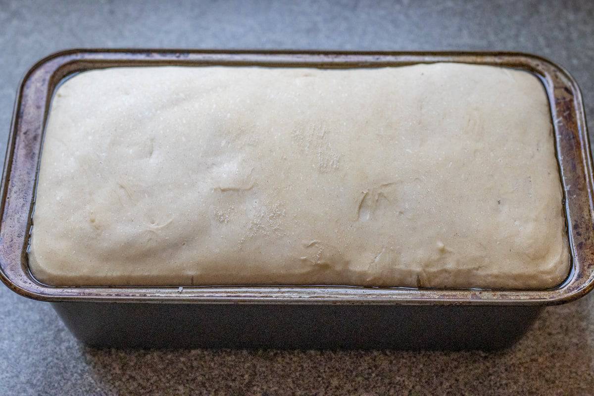 Sandwich loaf after second proofing.