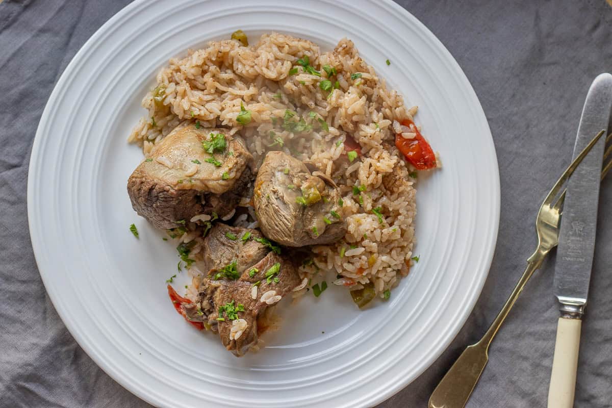 a portion of classic Turkish lamb and rice dish served on a plate