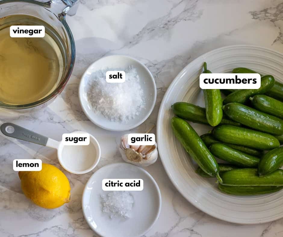 labelled picture of ingredients for pickled cucumber - salatalik tursusu