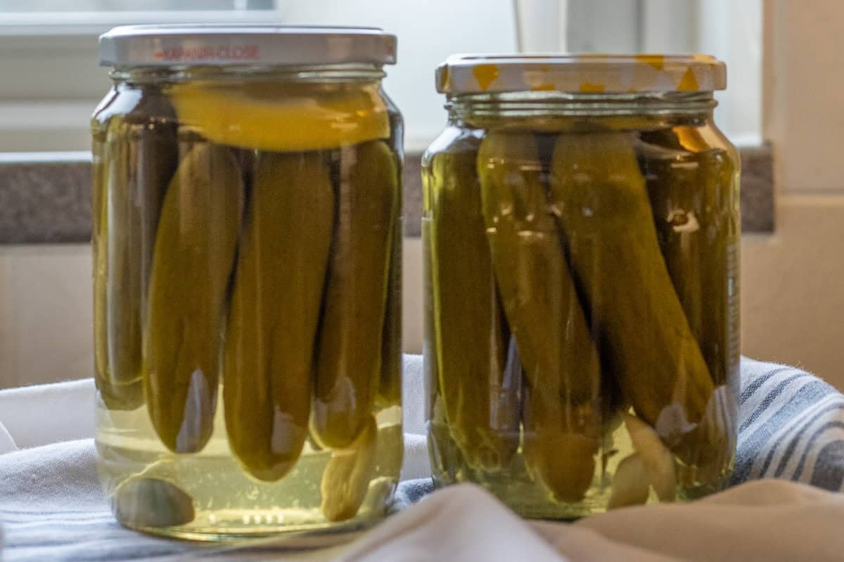 cucumbers are pickled for 10 days in a brine