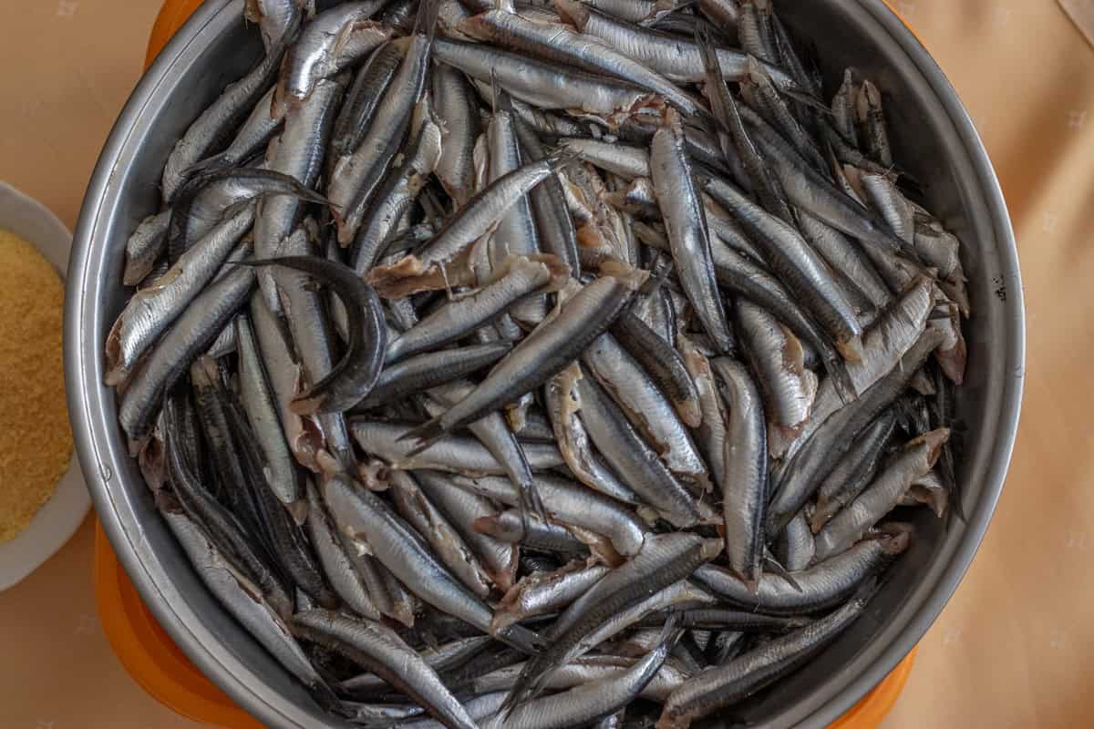 Fresh anchovies are cleaned, washed, and drained on a colander