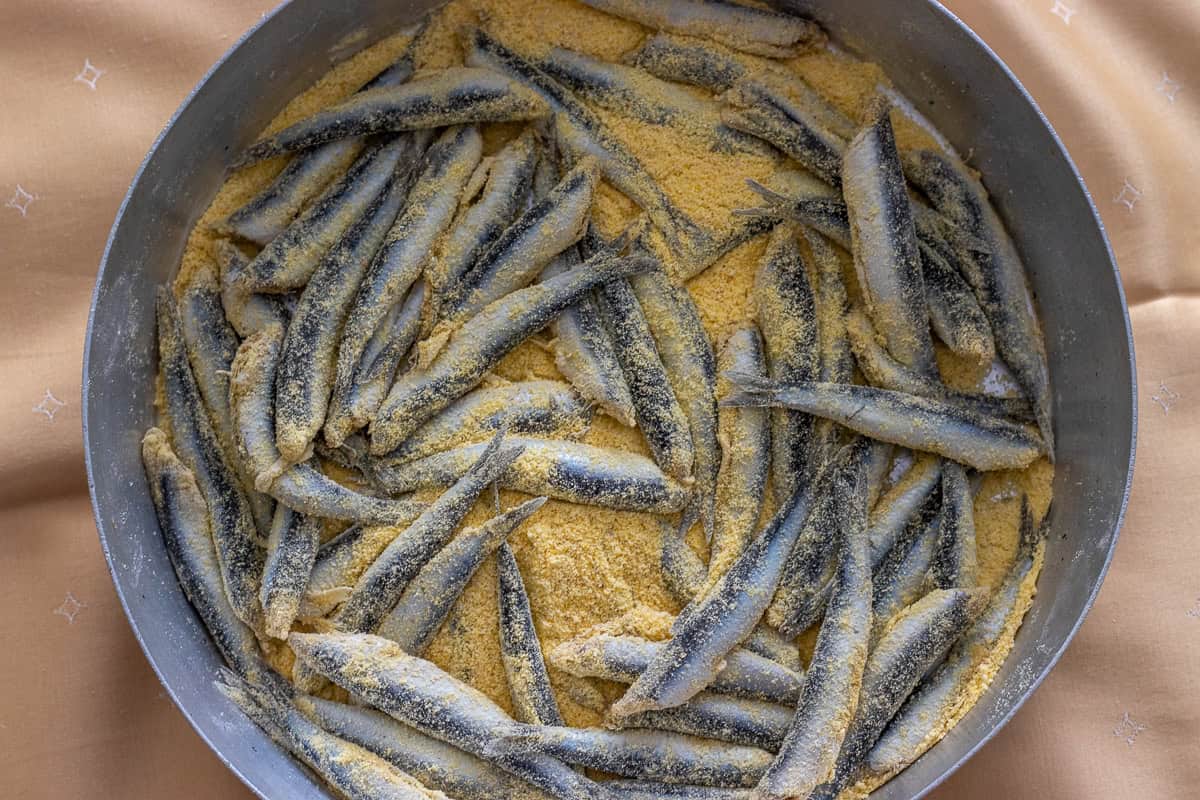 fresh cleaned anchovies are covered with cornmeal