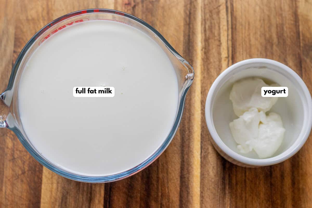 labelled picture of ingredients for making homemade yogurt