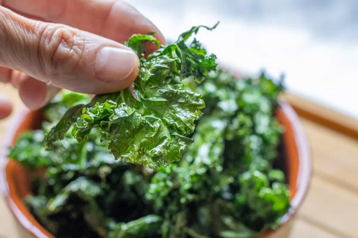 hand holding a piece of crispy kale chip
